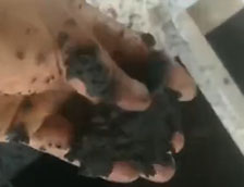 疊螺脫水機現(xiàn)場