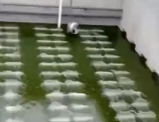 曝氣器施工現(xiàn)場